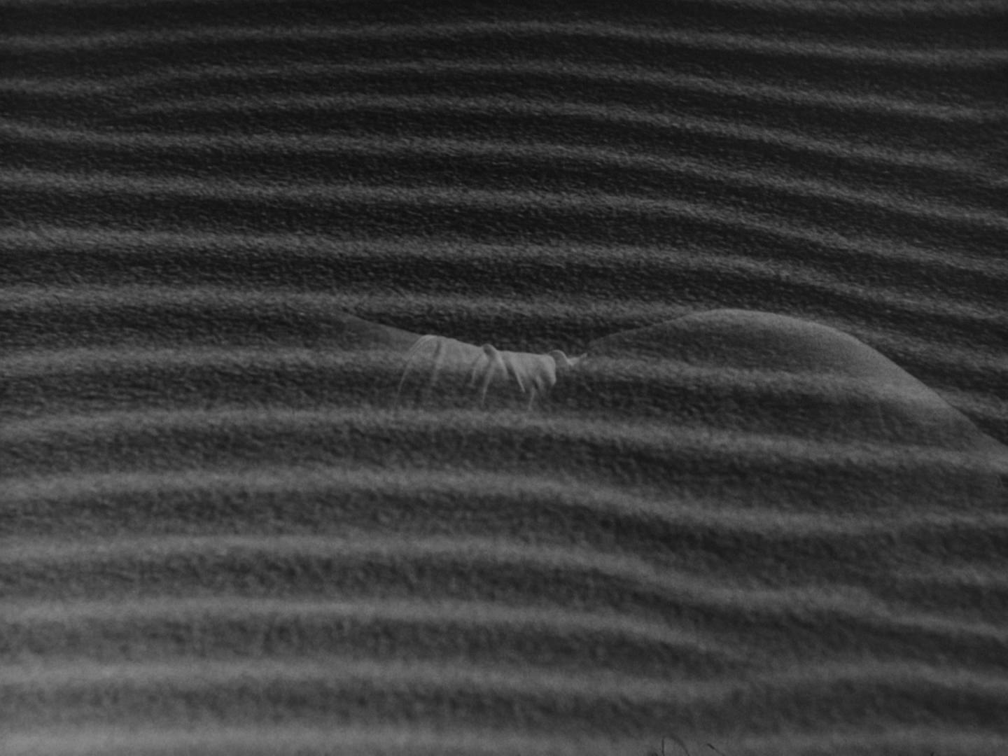 woman_in_dunes_03.jpg
